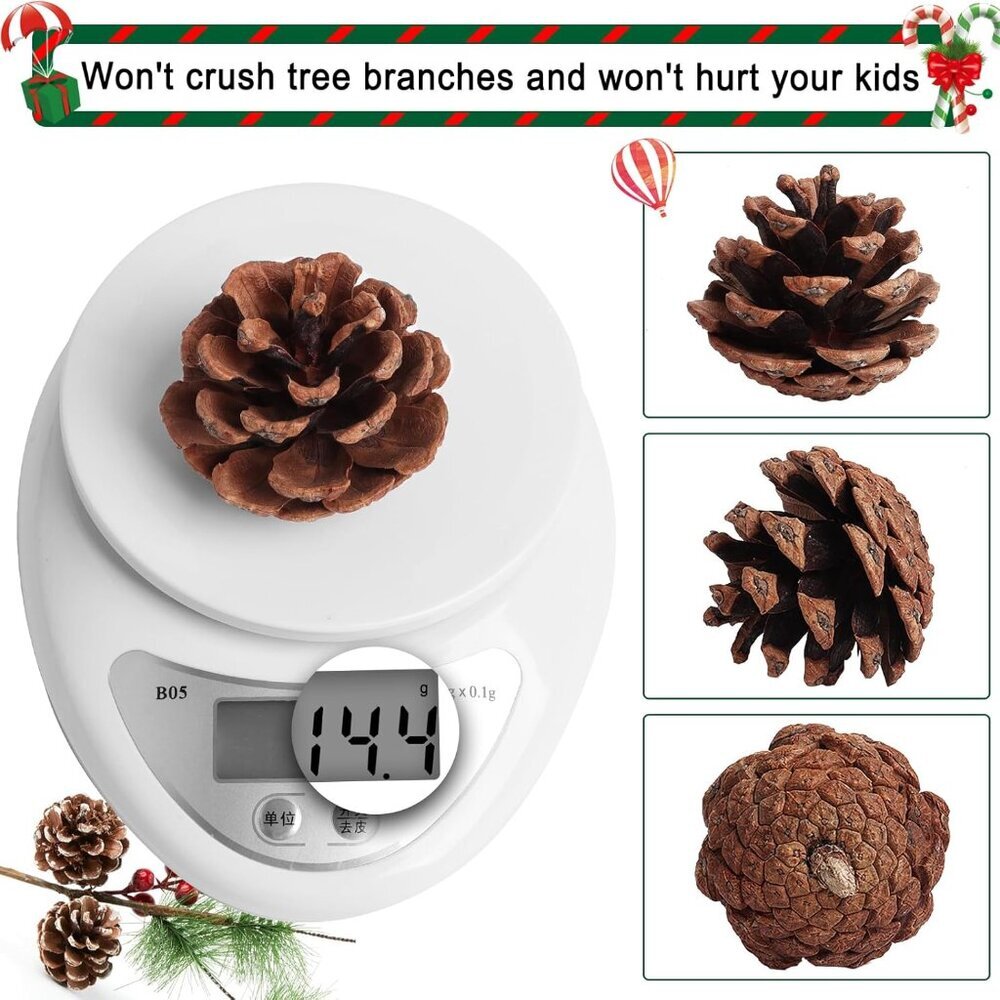 20 Pack 2.4 Inch Pinecones Bulk Package of Natural Pinecones Pine Cones for Craf - Picture 3 of 6